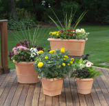 Ostern noch frei easyquartier.de Ferienwohnung Wustrow Jahreswechsel