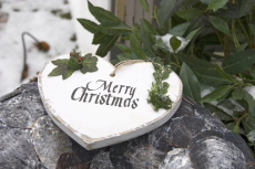 Ostern noch frei Ferienwohnnung easyquartier Ostseebad Wustrow