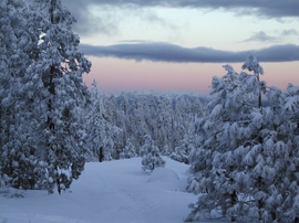 Last Minute Ferienwohnung Ostsee easyquartier