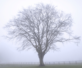 Ferienwohnung Ostsee easyquartier