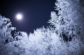 Ferienwohnung Ostsee easyquartier