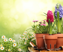 easyquartier.de Vermittlungsagentur für Ferienwohnungen an der Ostsee