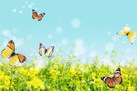 easyquartier.de Vermittlungsagentur für Ferienwohnungen an der Ostsee